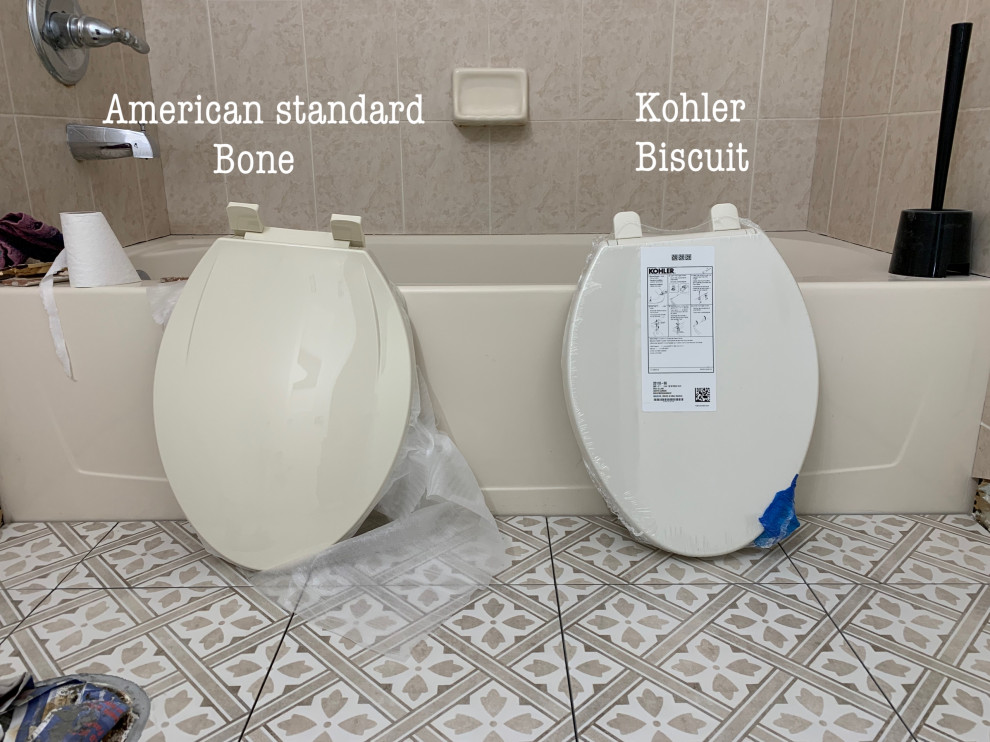 Choosing Toilet color | Houzz Forum