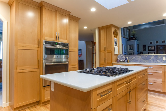 Kitchen Remodel traditional-kitchen