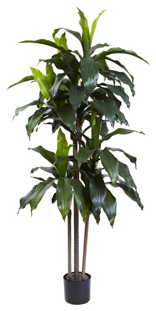 5' Dracaena Plant UV Resistant, Indoor and Outdoor