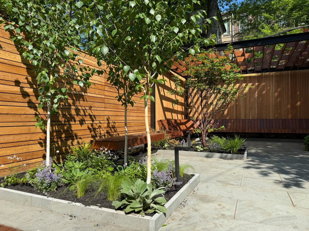 Carroll Gardens Modern
