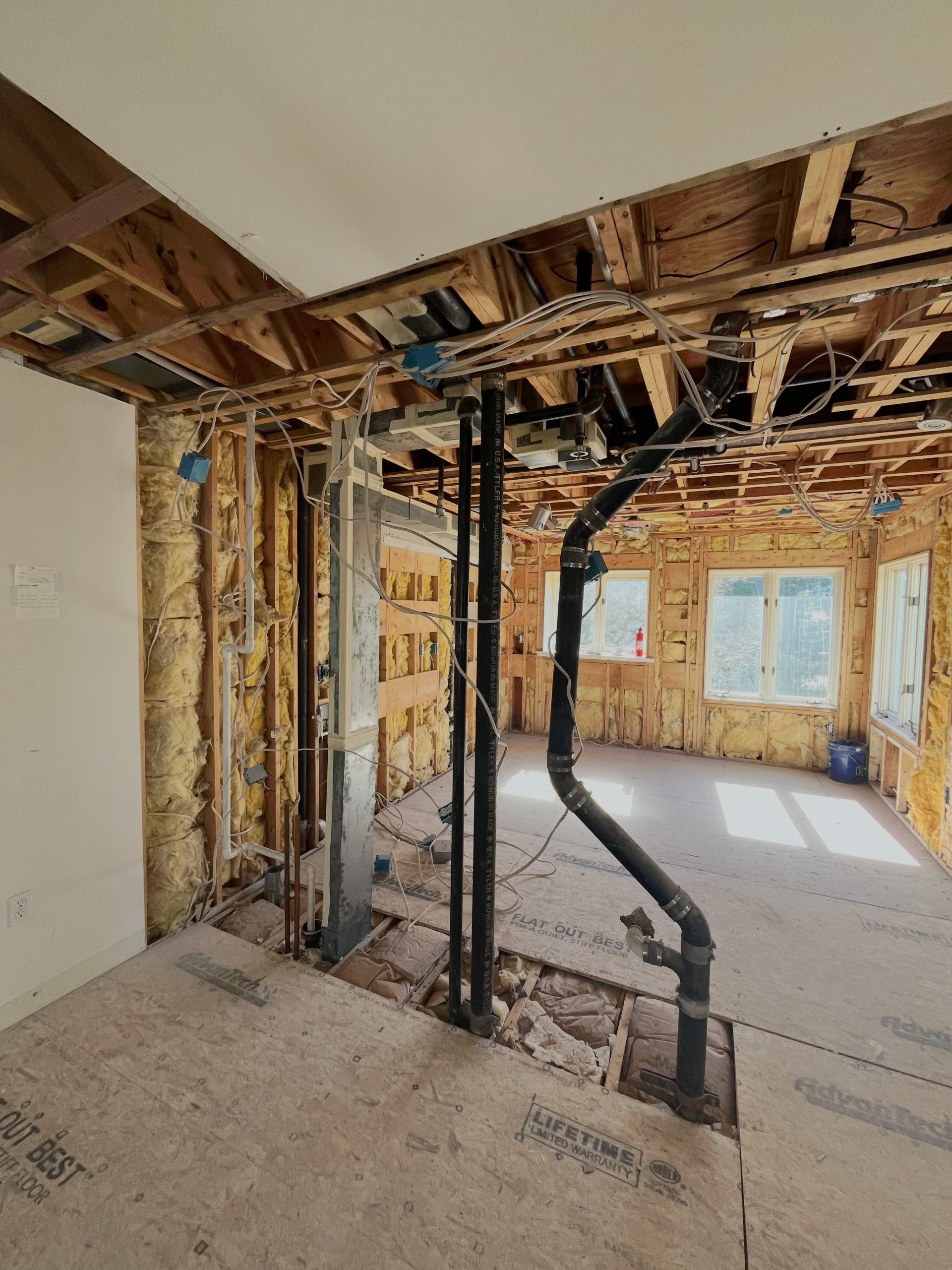 Kitchen/Dining (Progress)