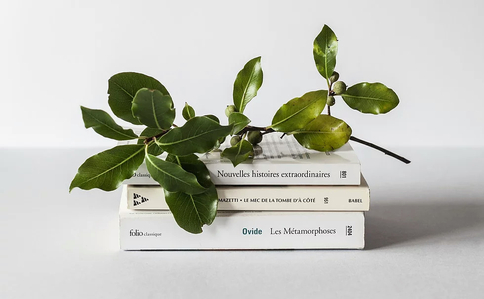 plant maintenance manual