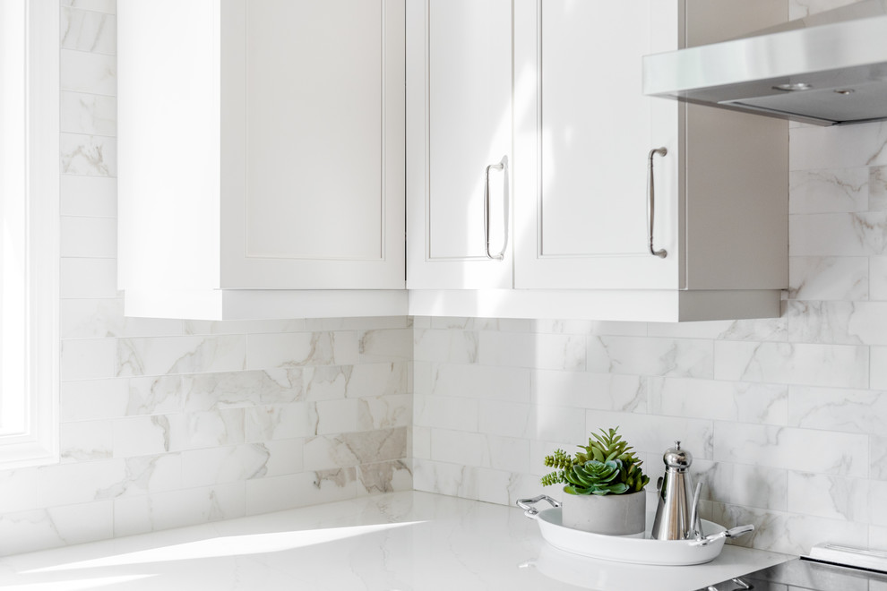 Mid-sized transitional home design photo