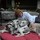 laurie_koudys