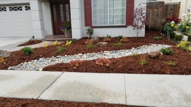 Drought Tolerant Landscaping- Front & Backyard