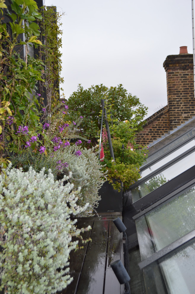 Photo of a small mediterranean roof rooftop metal railing terrace in Cambridgeshire with a living wall and a roof extension.