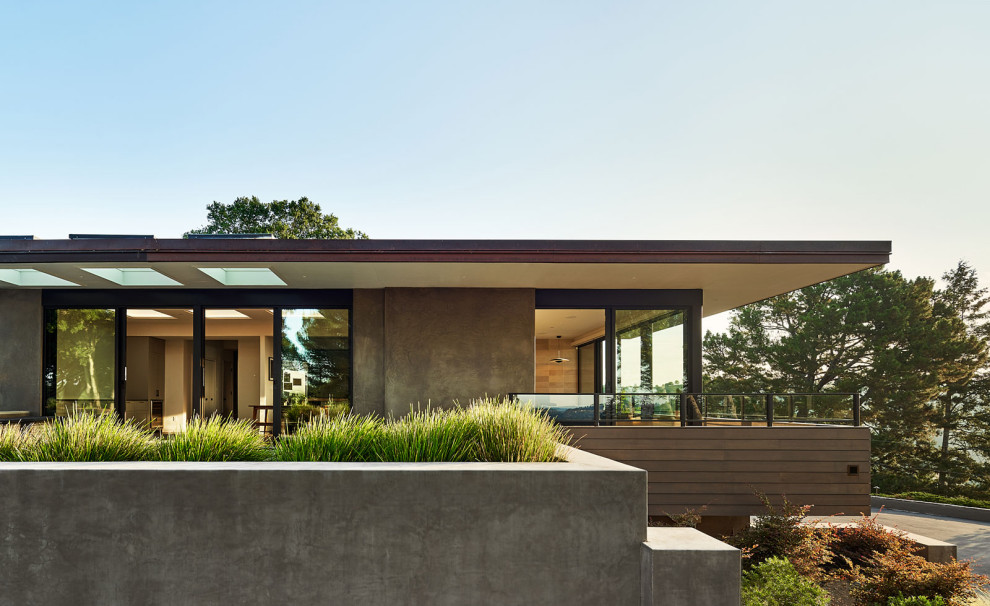 Réalisation d'une grande façade de maison marron vintage en stuc de plain-pied avec un toit plat et un toit végétal.