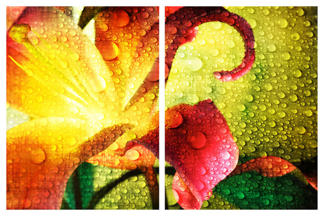"Tropical Hibiscus" Canvas Wall Art, 2-Piece Set