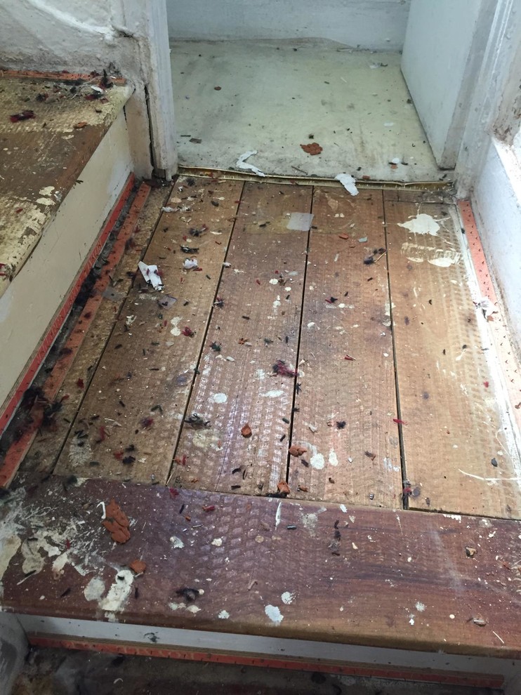Wood floors found under carpet..