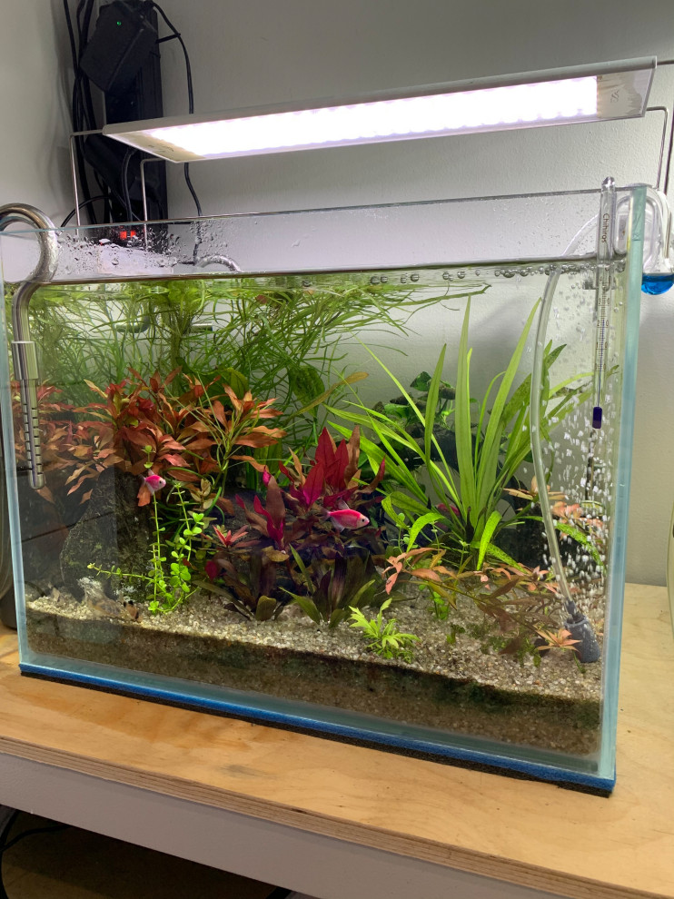 Акваскейп "Кубик" аквариум