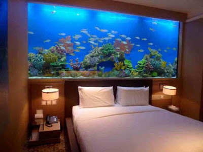 How to make wall aquarium and wall fish tank DIY - Bedroom | Houzz