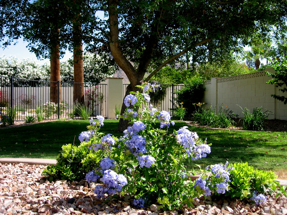 Design ideas for a traditional garden in Phoenix.