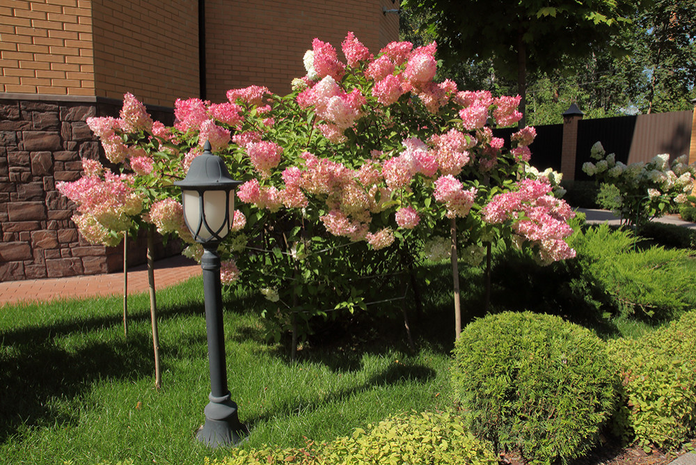 Заветы Ильича. Солнечный сад с беседкой спроектированной  в стиле дома.