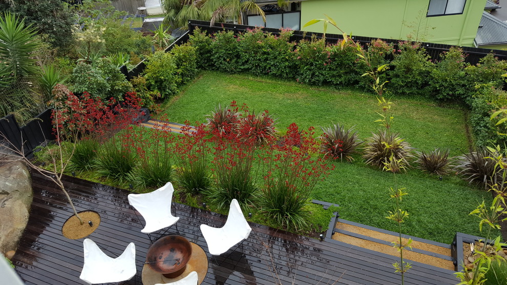 Photo of a mid-sized and australian native contemporary backyard full sun formal garden in Sydney with decking.