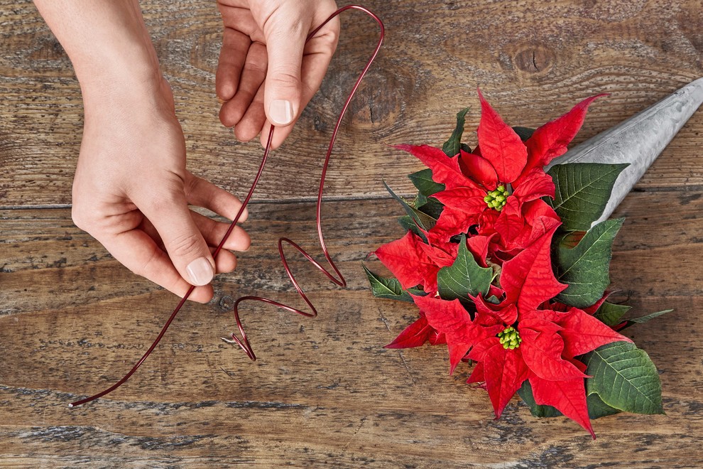 Decorazioni Natalizie TOYANDONA - 24 Fiori Stella Di Natale Dorati Per