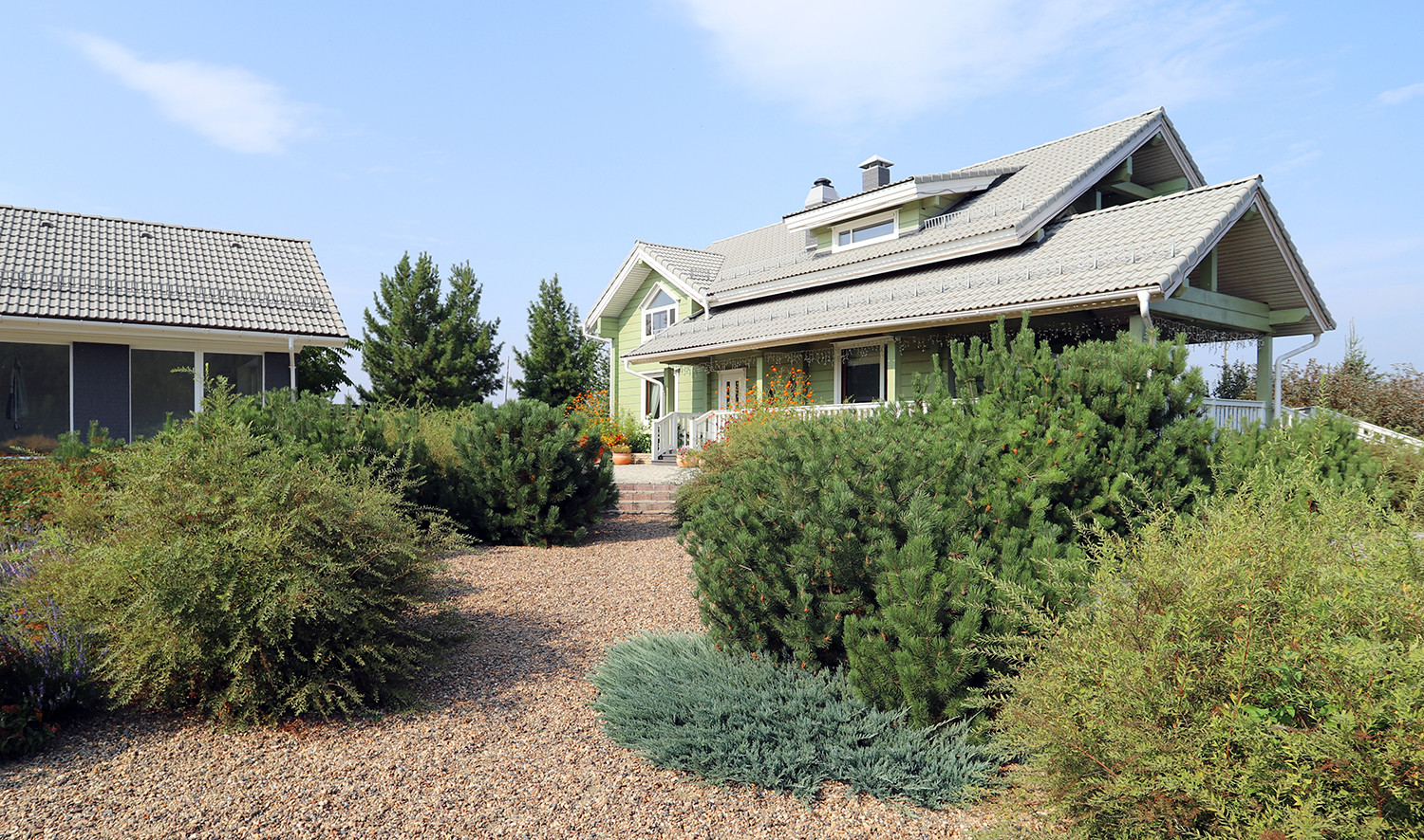 Полынный берег. Новые снимки