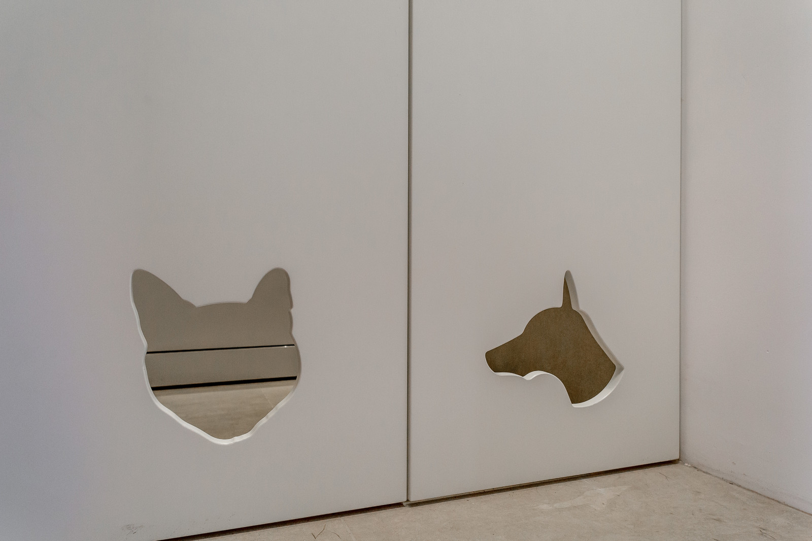 ЭФФЕКТ БАБОЧКИ. Проект выполнен для передачи "Дачный ответ" на НТВ.