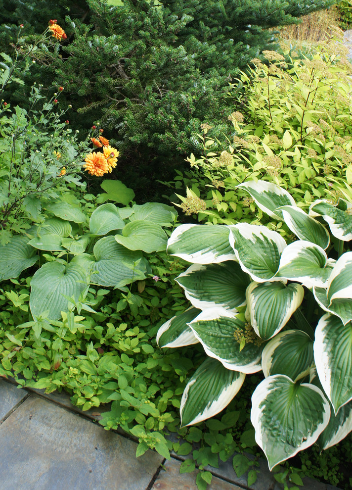 Участок 30 соток