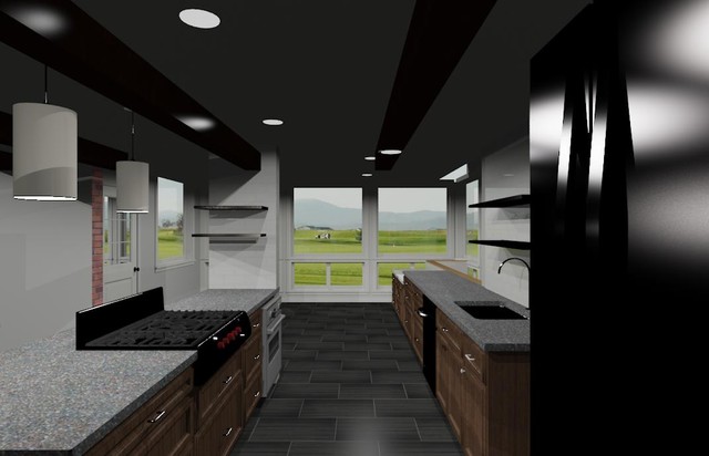 Kitchen Remodels transitional-rendering