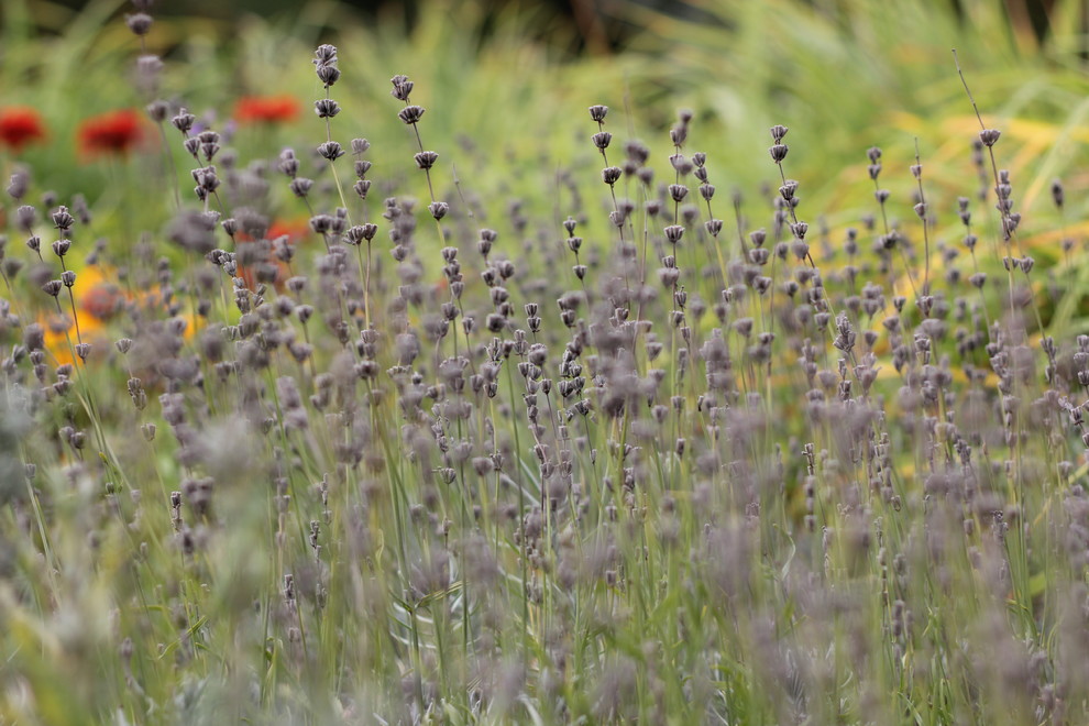 Ландшафт в деталях