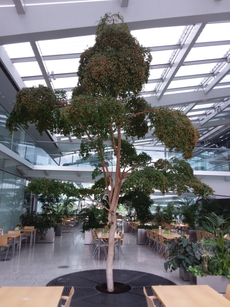 Klassischer Garten in Leipzig