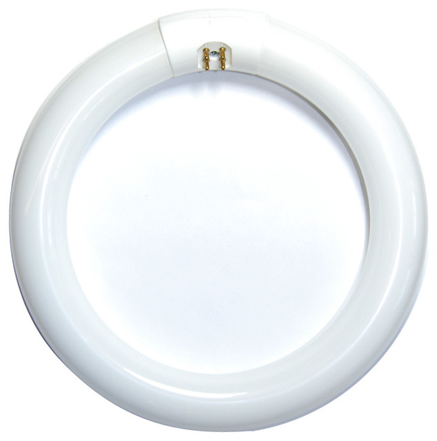 Satco S6509 20-Watt Circline Fluorescent Lamp - 4 Pin T9, 4100K Cool White, 8000 Hour Life