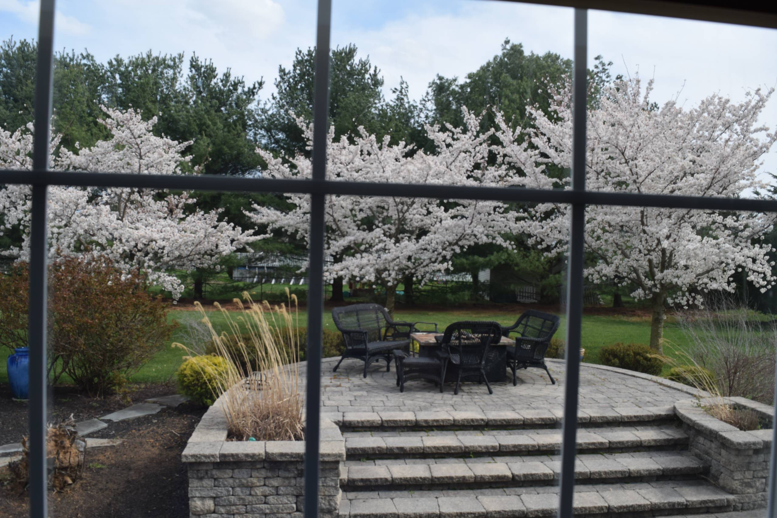Outdoor Entertaining