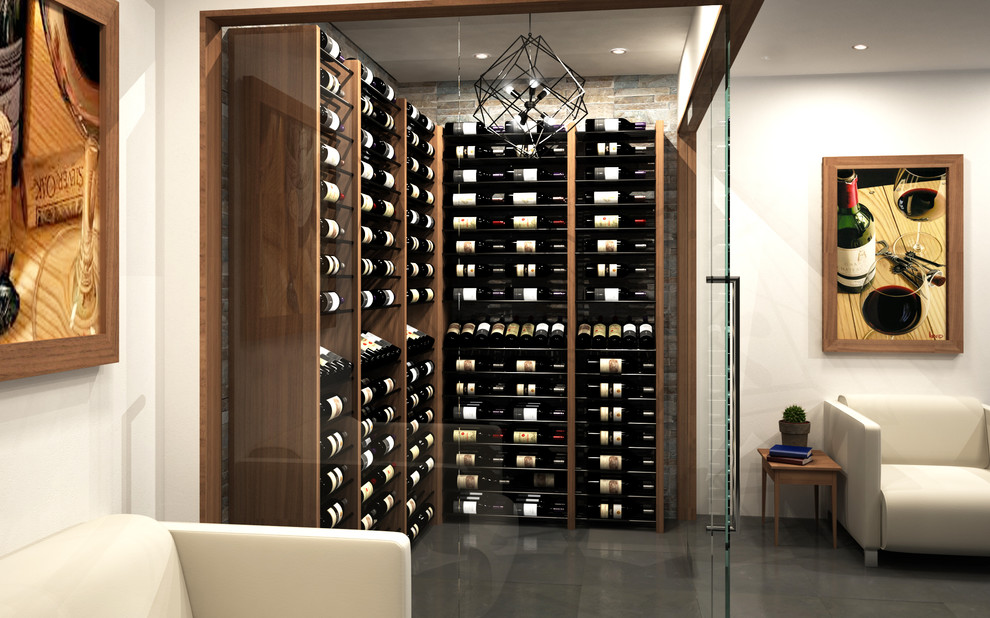 Wine cellar - transitional wine cellar idea