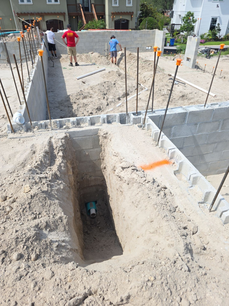 Tarpon Springs Project 2024-2025