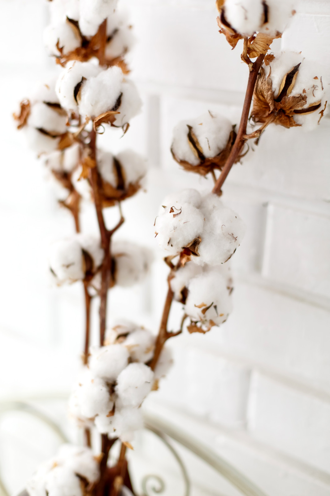 С видом на Залив