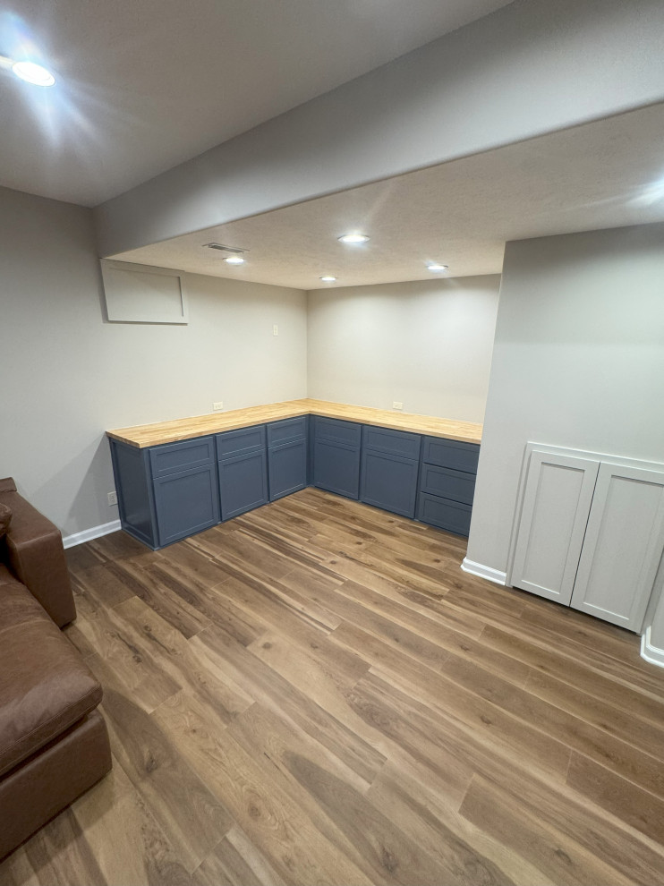 Basement Family Room
