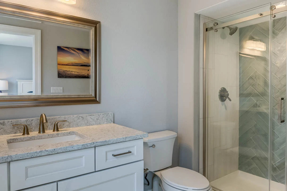 Dolphin Watch (2023)