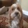 richard_greer61