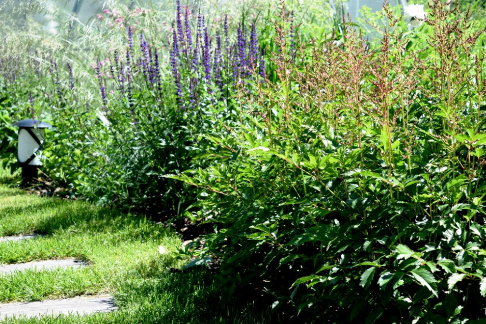 "Лесная сказка"