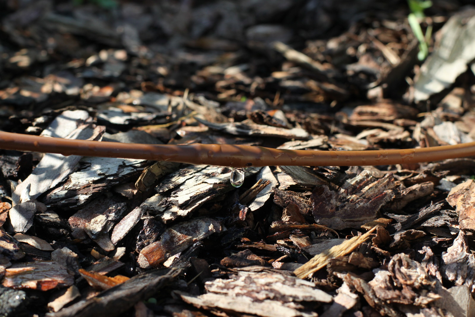 Проект автополива 15 соток