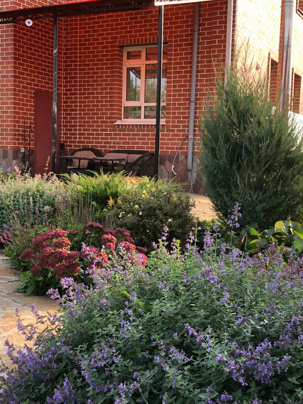 Растительные  композиции в мощении