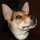 jeff_sternal