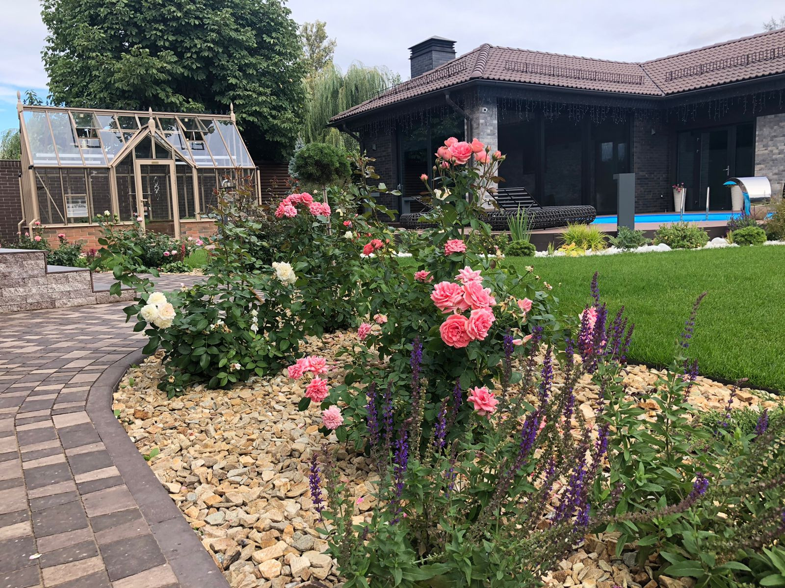 Проект «Новый свет»