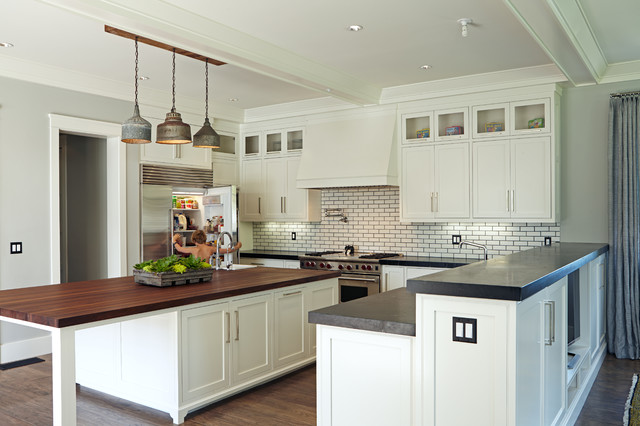 Wildlife transitional-kitchen