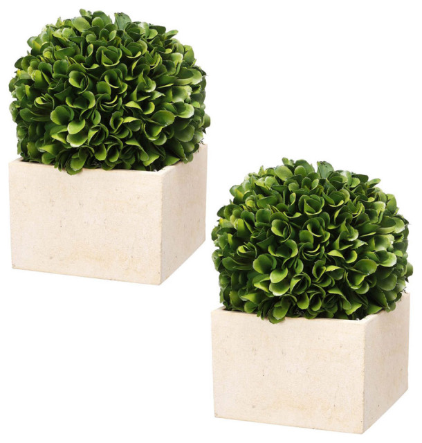 Set Of 2 Faux Boxwood Topiary Tree Plant In Pot 5x7"