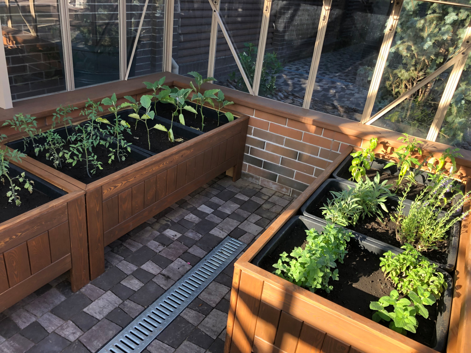 Проект «Новый свет»