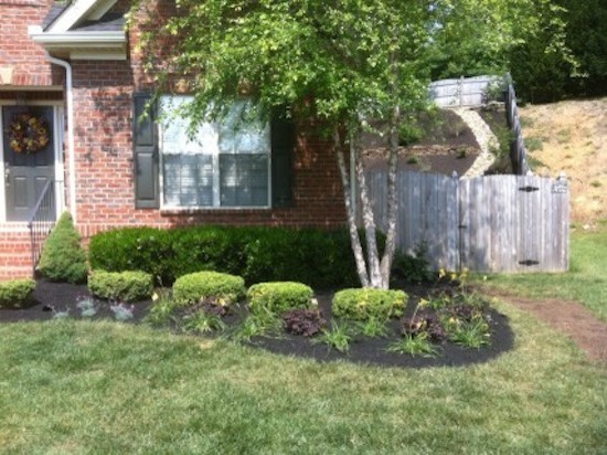 Design ideas for a mid-sized transitional full sun front yard landscaping for spring.