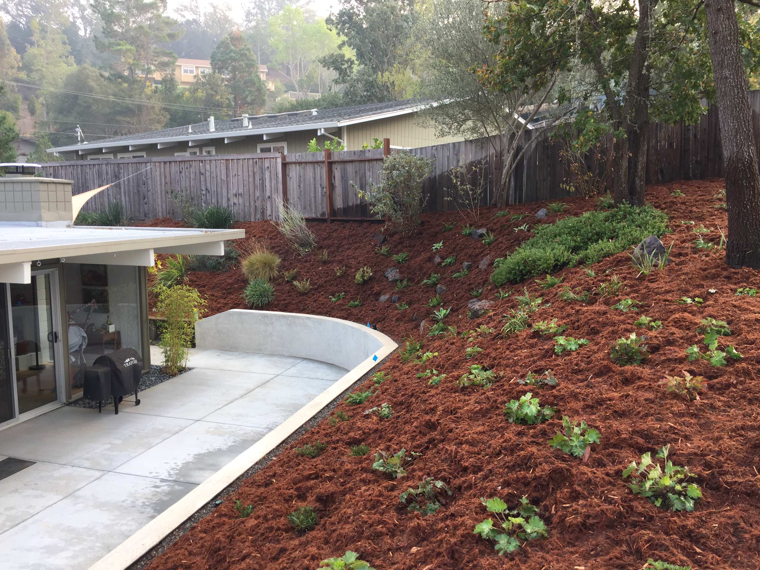 Ah, what a lucky day to get the call to help a wonderful couple with the landscape adorning their lovely Eichler home nestled next to open space in the warm hills of San Rafael. There was a failing wo