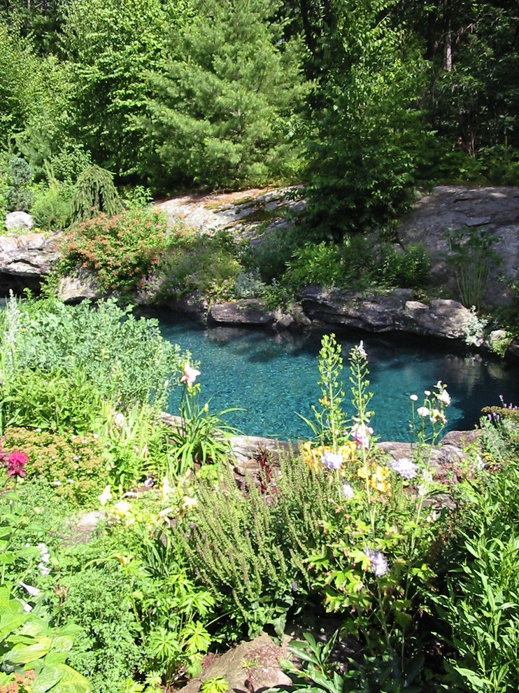 Mid-sized country backyard custom-shaped natural pool in Louisville with brick pavers.
