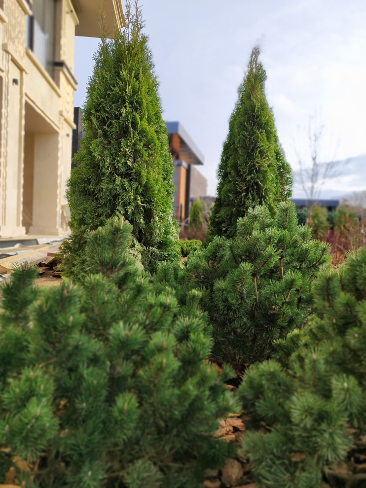 В работе 2023 и старше