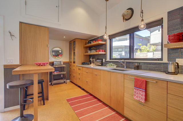 Guest Float IV modern-kitchen