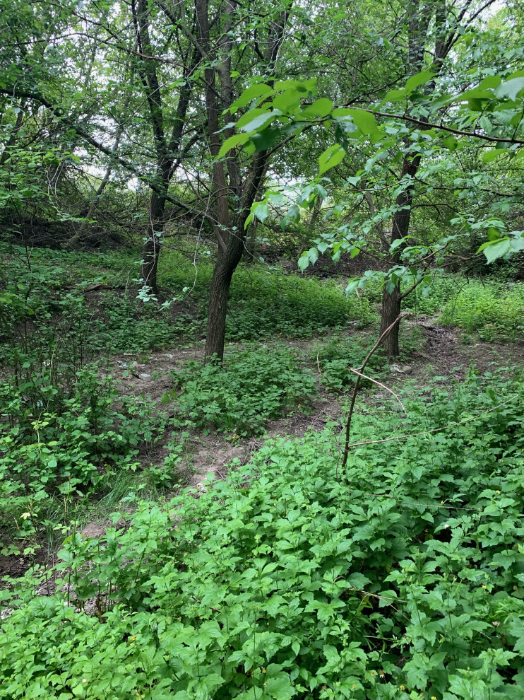 Баса отдыха. Кумжинской роща, берег Дона