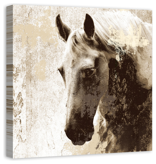 "Stallion Study in Sepia" Canvas Wall Art, 30x30, 30x30 Farmhouse
