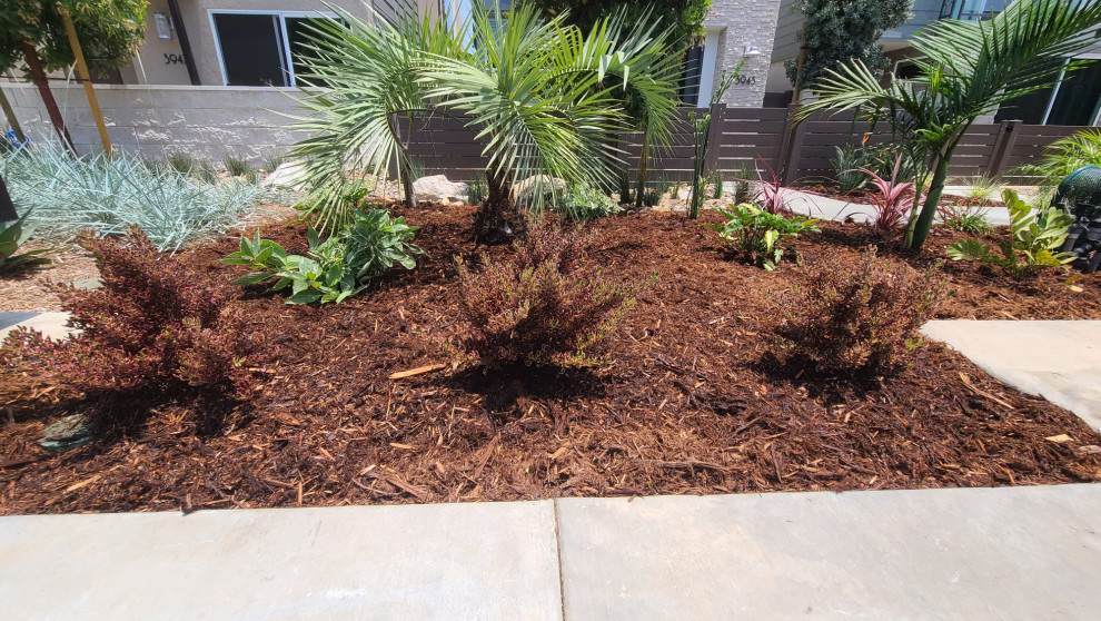 Small world-inspired front formal full sun garden for summer in San Diego with a garden path and mulch.