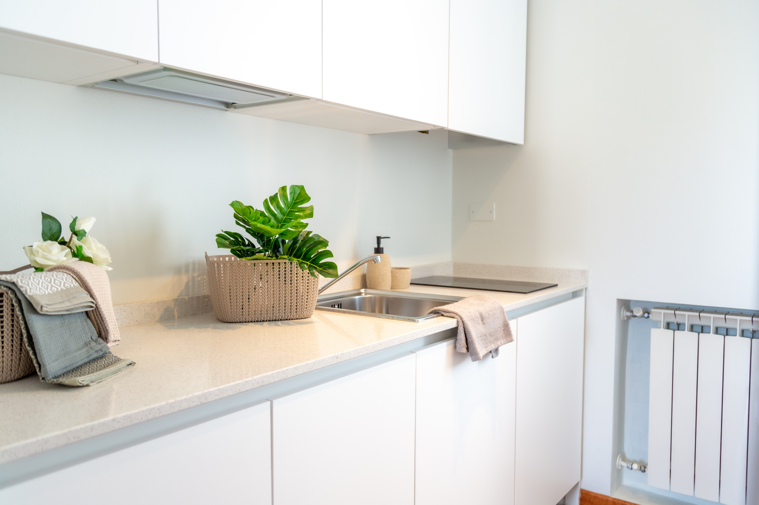 Villa delle rose - progetto per un airbnb